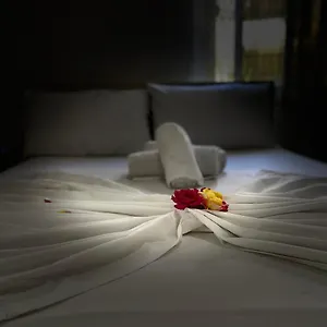 https://kristeo.albaniahotels.org